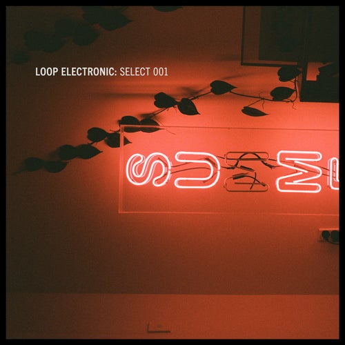 Loop Electronic: Select 001
