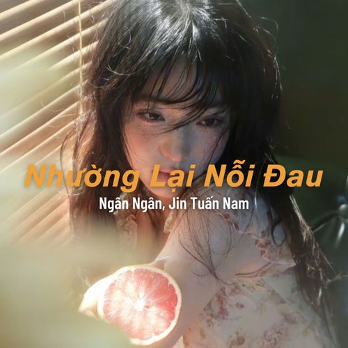 Nhường Lại Nỗi Đau (Lofi)