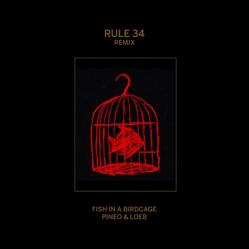Rule #34 (Remix)
