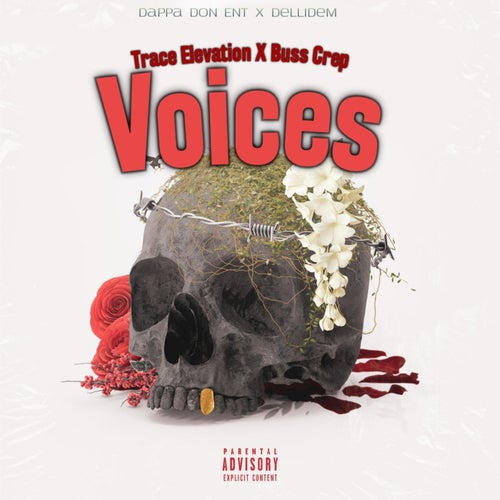 Voices