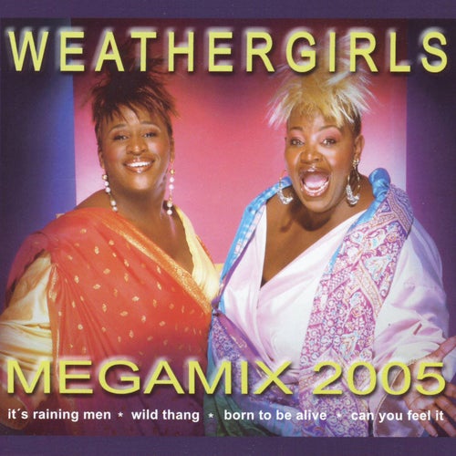 Mega-Mix 2005 (It's Raining Men, Wild Thang, Born to Be Alive, Can U Feel It)