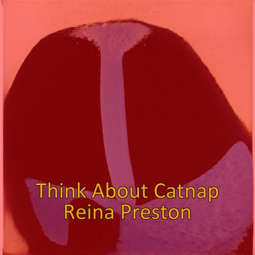 Think About Catnap