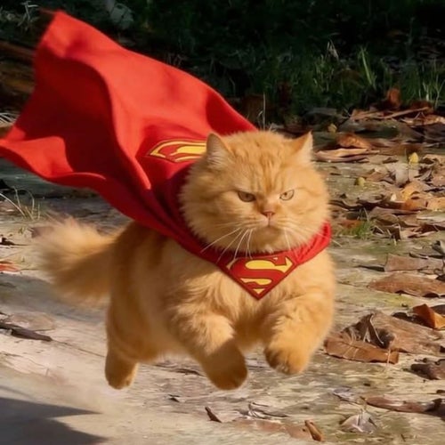 Supercat