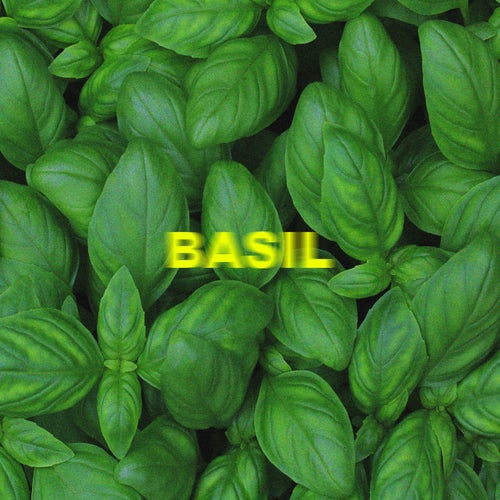 Basil