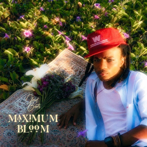 Maximum Bloom
