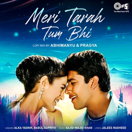 Meri Tarah Tum Bhi (Lofi Mix)