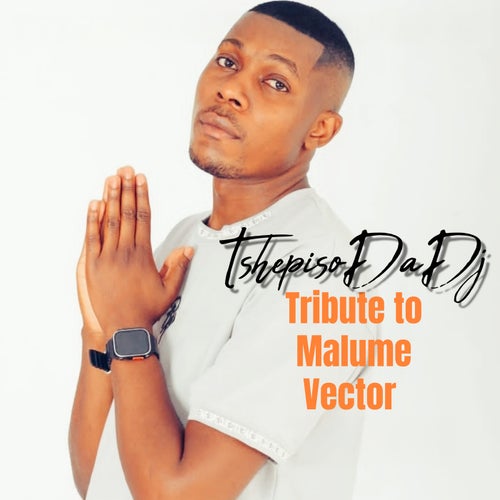Tribute to Malume Vector