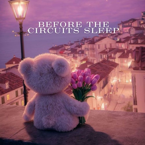Before the Circuits Sleep