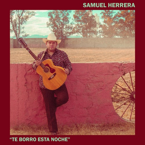Te Borro Esta Noche