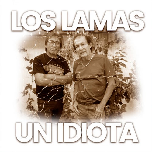 Un Idiota