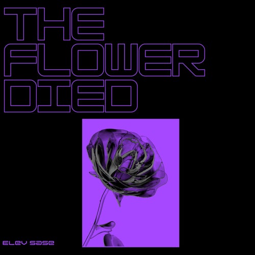 The Flower Died