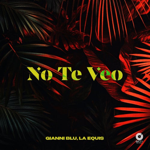 No Te Veo