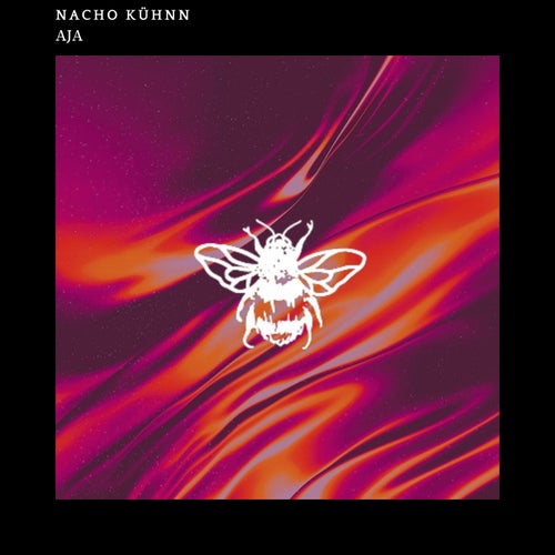 Release of the week