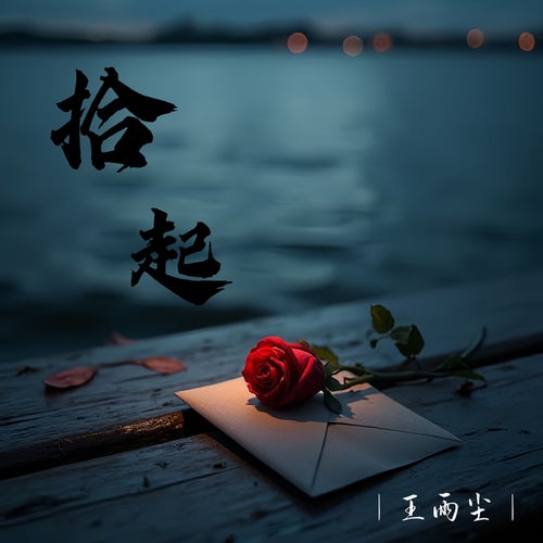拾起