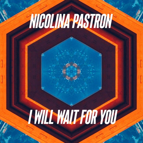 I Will Wait For You