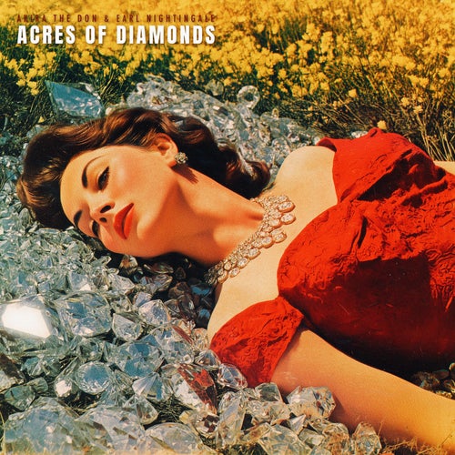 ACRES OF DIAMONDS