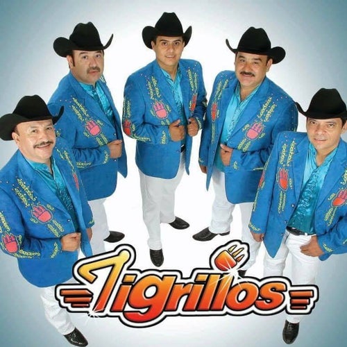 Los Tigrillos Profile