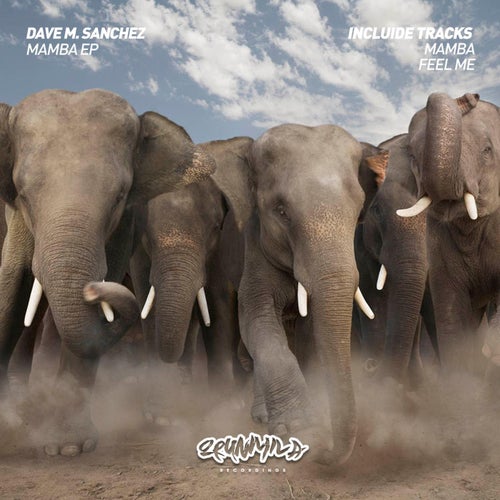 Mamba EP