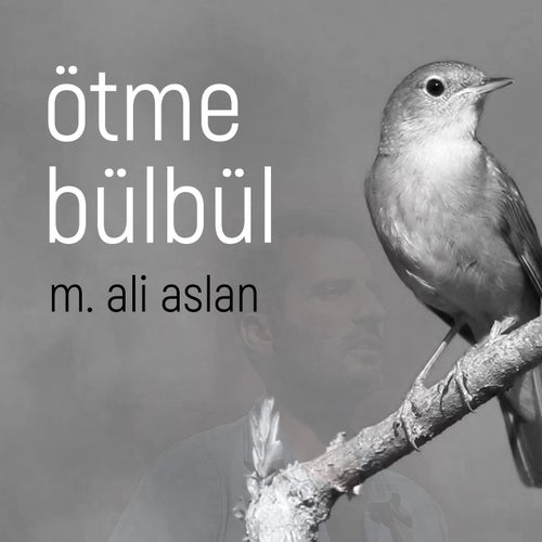Ötme Bülbül