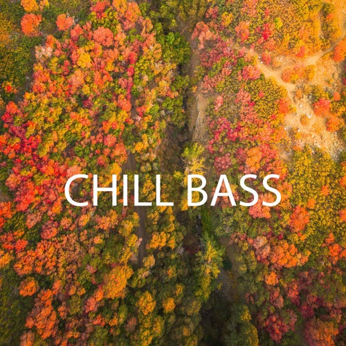 Chill Bass