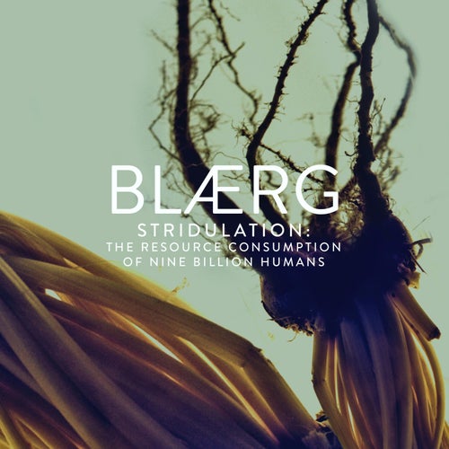 Stridulation: The Resource Consumption of Nine Billion Humans