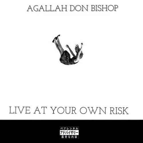 Live At Your Own Risk  (feat. Yatzee Yates)