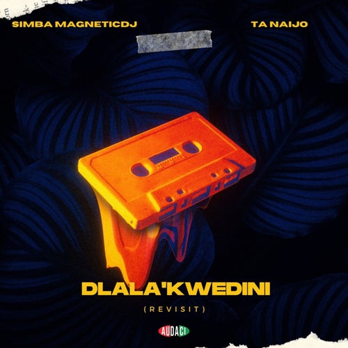 Dlala'Kwedini