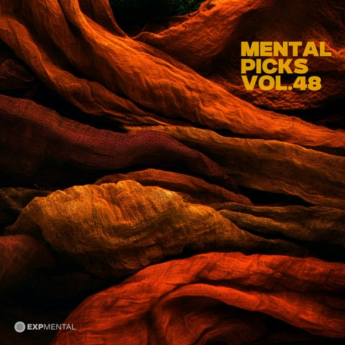Mental Picks Vol.48