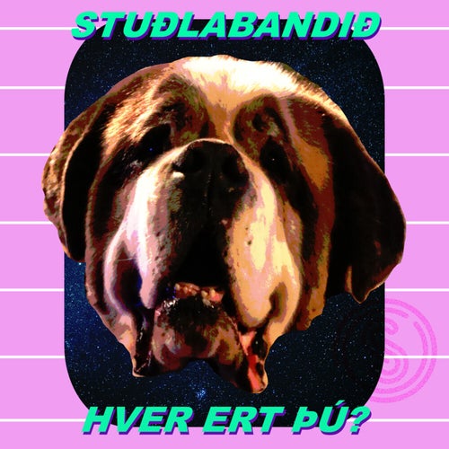 Hver ert þú?
