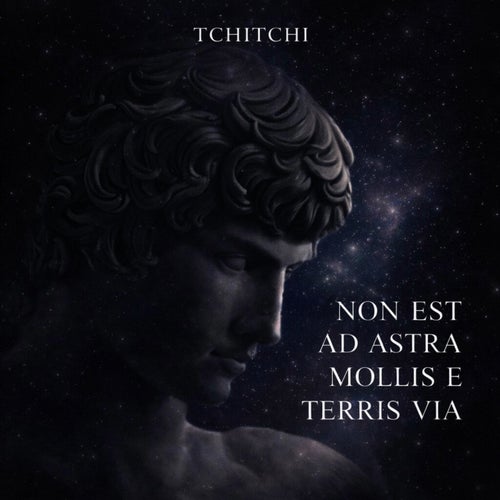 Non Est Ad Astra Mollis e Terris Via