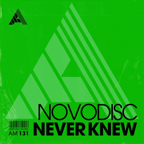 Never Knew (Extended Mix)