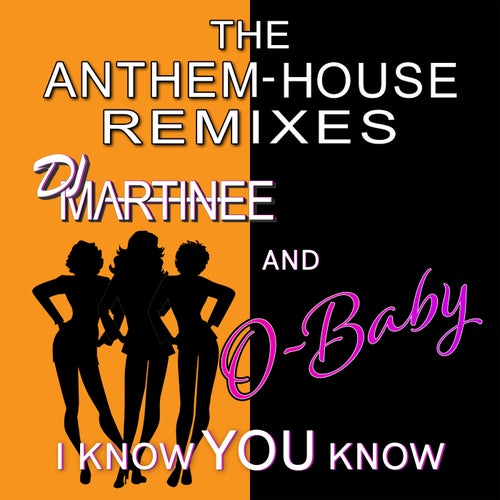 I Know You Know (The Anthem-House Remixes)