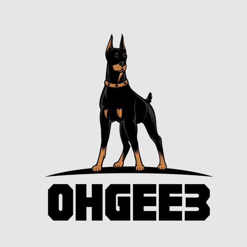 Introducing Ohgee3