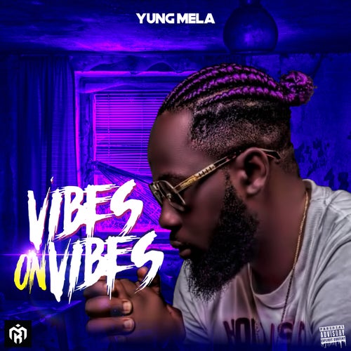 Vibes On Vibes