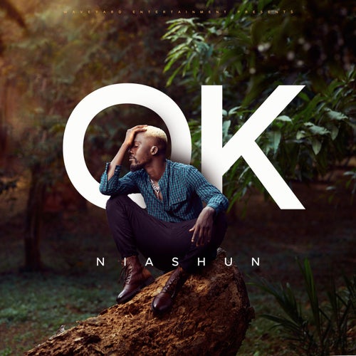 Ok (Acoustic Version)