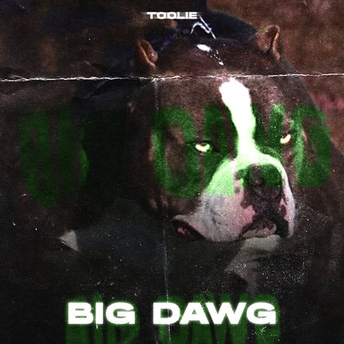 Big Dawg