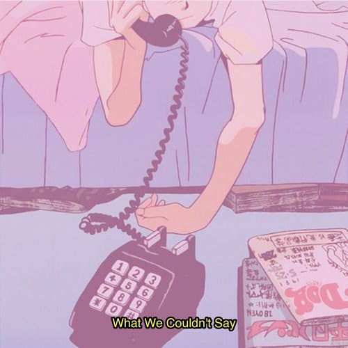 What We Couldn't Say