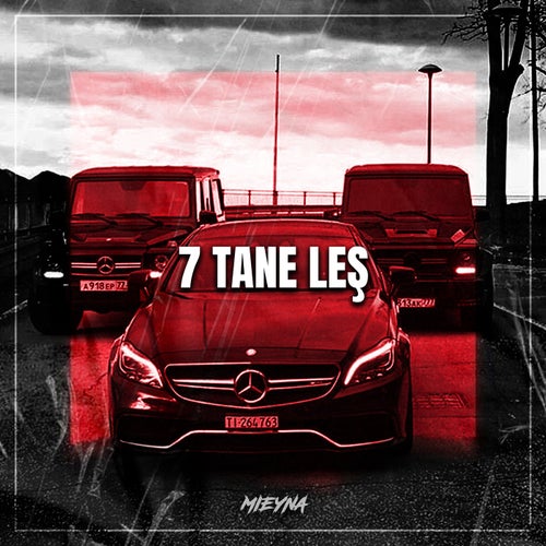 7 Tane Leş