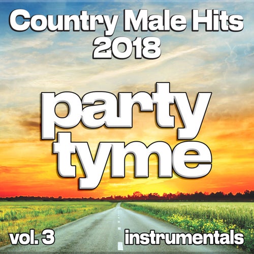 Country Male Hits 2018, Vol. 3 (Instrumental)
