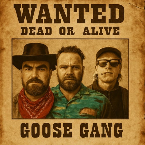Gæsa-Gang