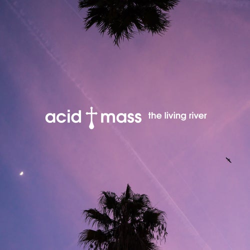 Release of the week