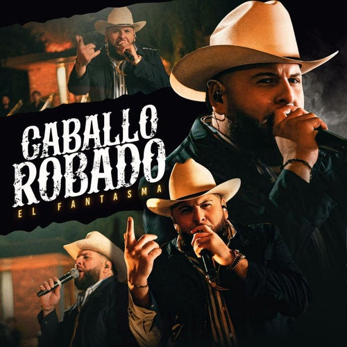 Caballo Robado