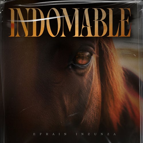 Indomable