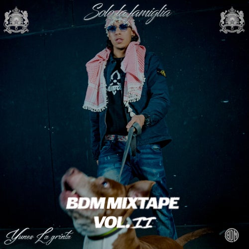 BDM Mixtape Vol. 2