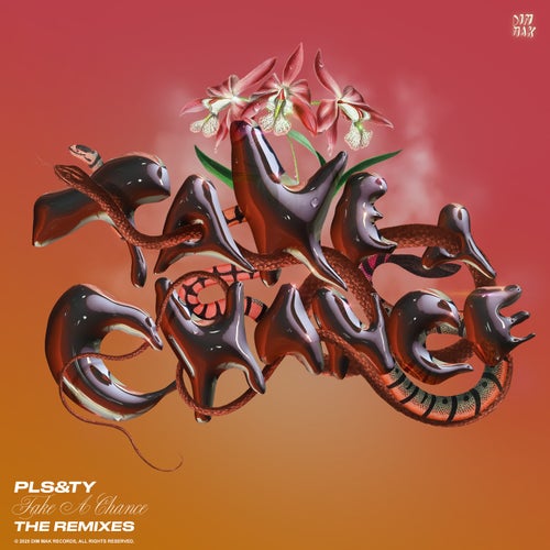 Take A Chance (Remixes) EP (Extended Mix)