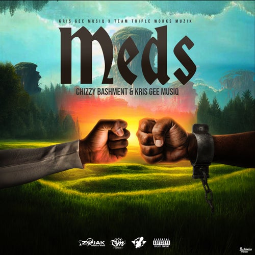 Meds (Redemption Riddim)