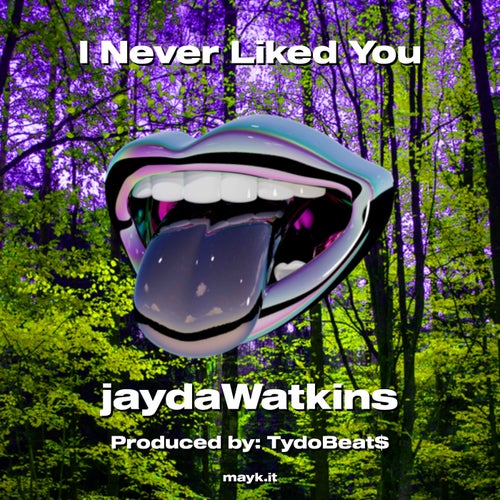 I Never Liked You