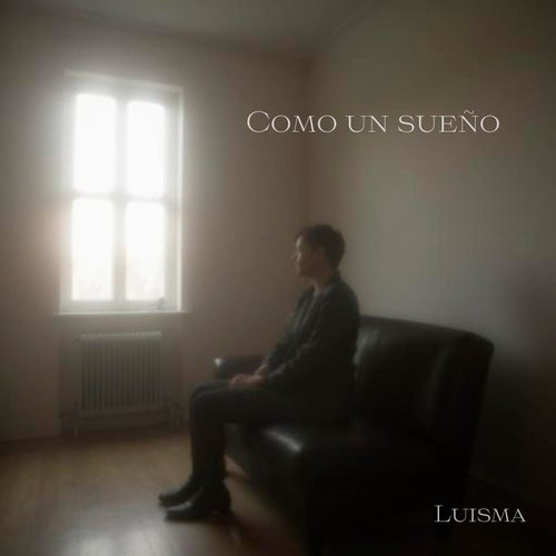 Como Un Sueño