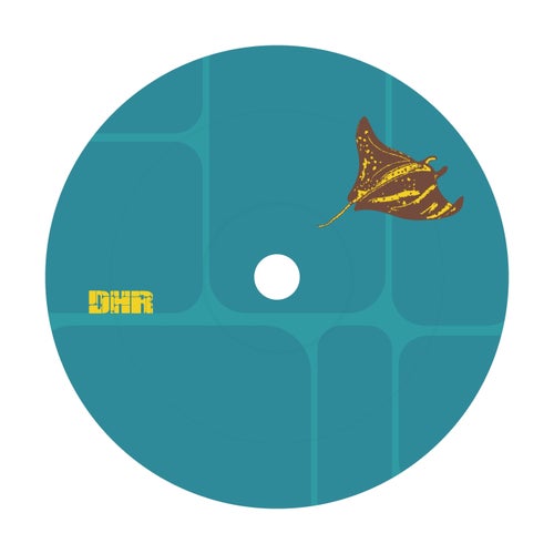 Release of the week