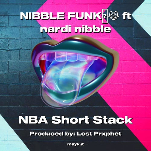 NIBBLE FUNK ft nardi nibble